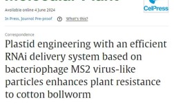 Molecular Plant招什么岗位？要求如何？