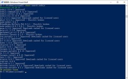 choco命令是什么？怎么用？