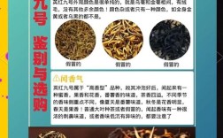 英红九号如何精准识别？