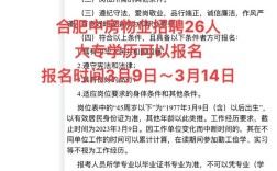 招聘助手介绍，招聘助手是什么？能帮求职者做什么？