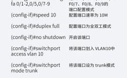 锐捷交换机端口命令有哪些常用参数？
