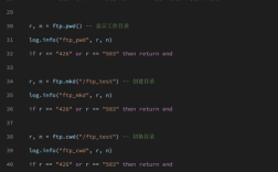 FTP命令端口号如何设置与使用？