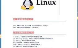 Ubuntu命令行如何全屏显示？