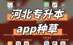 河北app搭建，河北app搭建需哪些关键步骤与注意事项？