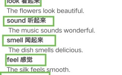 系动词如何进行强调？