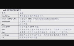C语言运行命令有哪些？如何正确执行？