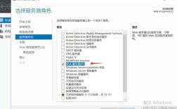 IIS服务器配置步骤有哪些？