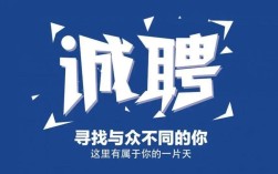 vzi招聘的具体岗位和要求是什么？