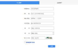 国数网注册步骤是什么？