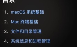 mac单用户命令如何进入？