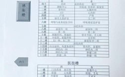 如何组建一个新的科室，新科室组建，关键步骤与核心要点是什么？