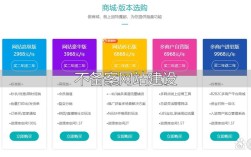 网站搭建 需求，网站搭建需求，如何高效明确核心要点？