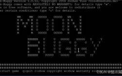 Google命令行怎么用？