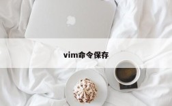 vim命令保存