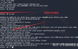 如何有效防范和检测shell命令注入漏洞，确保系统安全？