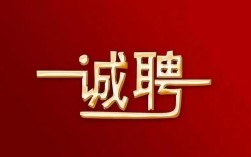 z x 招聘，z x 招聘，哪些岗位在招？