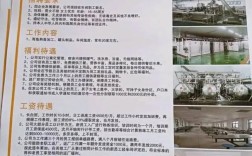 莘县建设公司招聘哪些岗位？