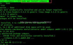 ssh t命令具体作用是什么？