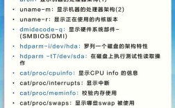 Kali Linux常用命令有哪些？