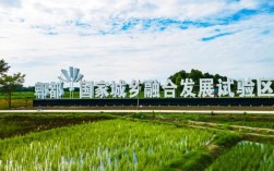 郫县网站建设哪家好？找专业团队定制！