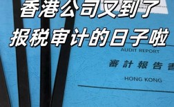 香港税务局应聘条件及流程是什么？