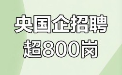 ariba中国招聘有何新动向或要求？