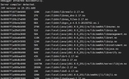 Java命令行输入参数如何传递与解析？