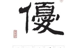 优字使用说明，具体怎么用？