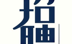 Sibel招聘什么岗位？要求有哪些？