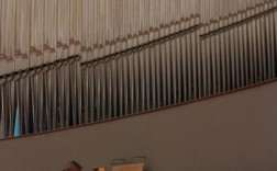 lohmann招聘什么岗位？要求有哪些？