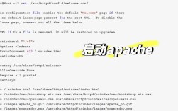 linux搭建dns服务器详细教程