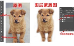 PS如何添加透明蒙版？