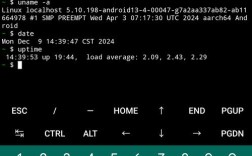 Unix free命令如何查看内存使用情况？