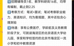 语言生招聘，语言生招聘有何具体要求与流程？
