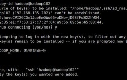Hadoop上传命令具体怎么用？