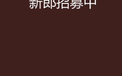 .net招聘 小说，NET招聘小说？这岗位是写代码还是写故事？