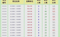 深圳分析招聘要求高吗？薪资待遇怎么样？
