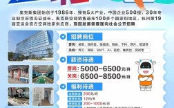 Otis IT招聘有何具体岗位要求？