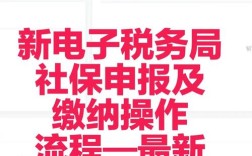 如何在金税盘上申报社保，金税盘社保申报流程是怎样的？