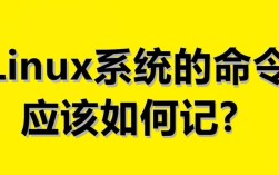 hexdump命令如何查看文件十六进制内容？