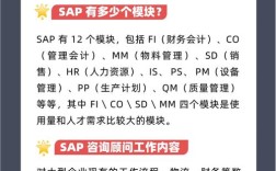 SAP财务命令有哪些常用及操作技巧？