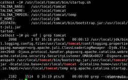 Linux如何高效查看Tomcat日志？