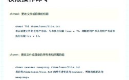 Shell命令有哪些常用技巧？
