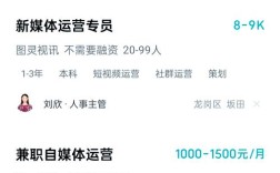 boss招聘 怎么发招聘，Boss直聘如何高效发布招聘信息？