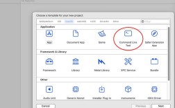 Xcode命令行参数如何传递与使用？