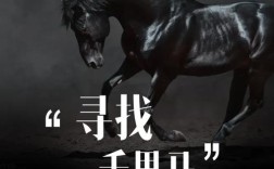 神州黑马招聘，神州黑马招聘，谁是黑马？