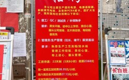 深圳dealextreme招聘什么岗位？