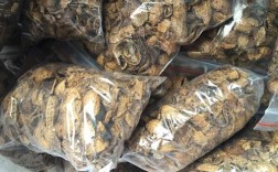 花生壳申请步骤是什么？