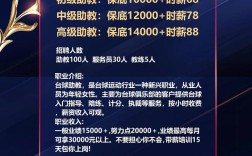 CHFI招聘，有何具体要求与流程？