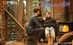 奈何boss又如何剧照结婚？